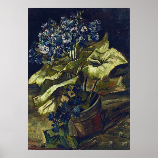 Van Gogh Cineraria in a Flowerpot Poster (Vorne)