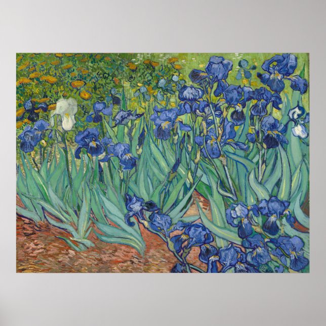 Van Gogh Classic Painting Irises Floral Botanical Poster (Vorne)