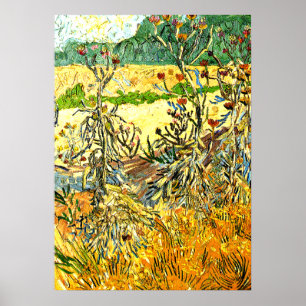 Van Gogh - Disteln, Gemälde von 1888 Poster