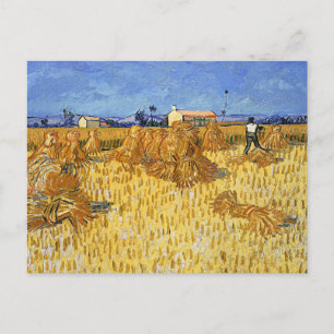 Van Gogh - Ernte in der Provence Postkarte