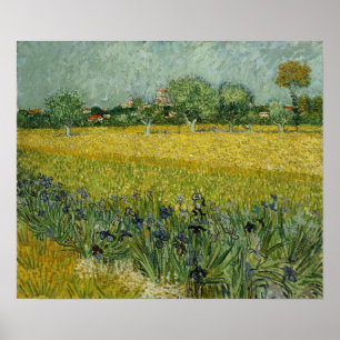 Van Gogh - Feld mit Blume in Arles Poster