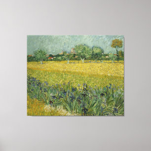 Van Gogh Field mit Blume in der Nähe von Arles Leinwanddruck