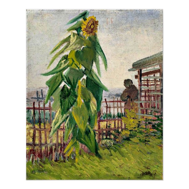 Van Gogh - Gemüsebeet mit Sonnenblume Poster (Vorderseite)