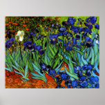 Van Gogh - Ire Poster<br><div class="desc">Van Gogh - Irises Poster</div>