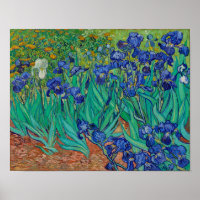 Van Gogh Irises Bloral Painting