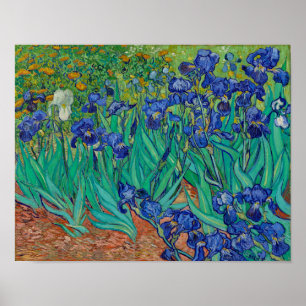 Van Gogh Irises Bloral Painting Poster