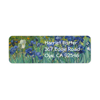 Van Gogh Irises (F608) Kunstwerk