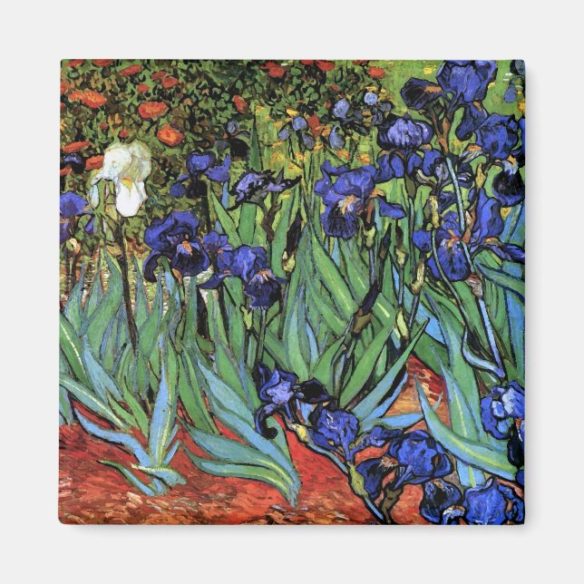 Van Gogh Irises (F608) Vintage Kunstkunst Magnet (Vorne)