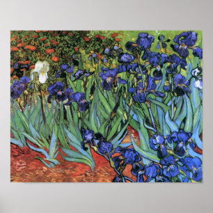 Van Gogh Irises (F608) Vintage Kunstkunst Poster
