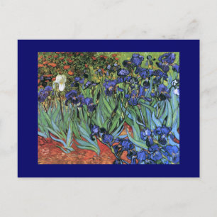 Van Gogh Irises (F608) Vintage Kunstkunst Postkarte