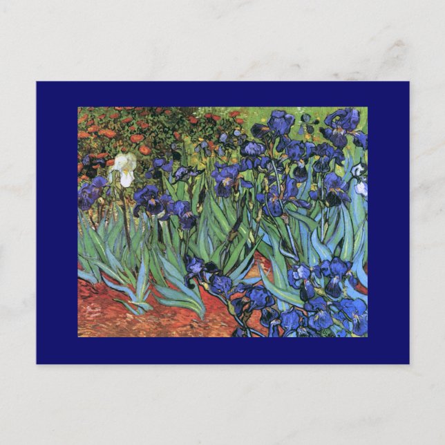 Van Gogh Irises (F608) Vintage Kunstkunst Postkarte (Vorderseite)