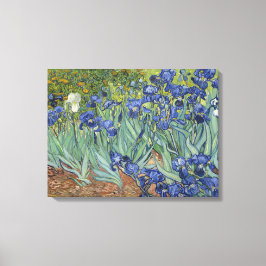 Van Gogh Irises Fine Art Painting Leinwanddruck