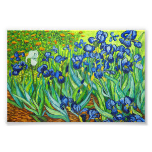 Van Gogh Irises Fotodruck