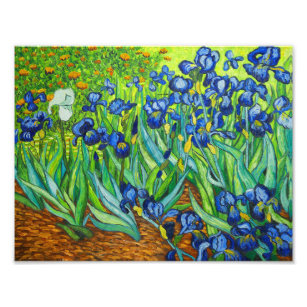 Van Gogh Irises Fotodruck