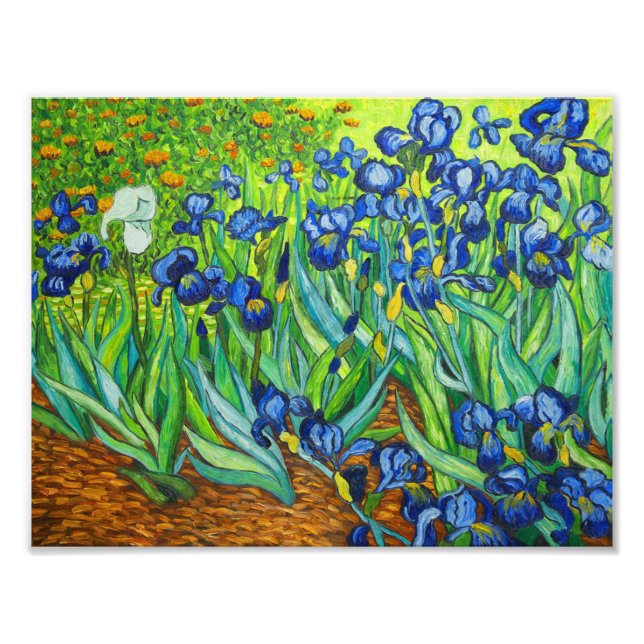 Van Gogh Irises Fotodruck (Vorne)