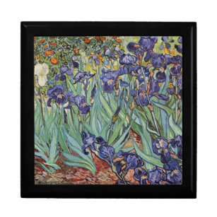 Van Gogh Irises Impressionist Painting Erinnerungskiste