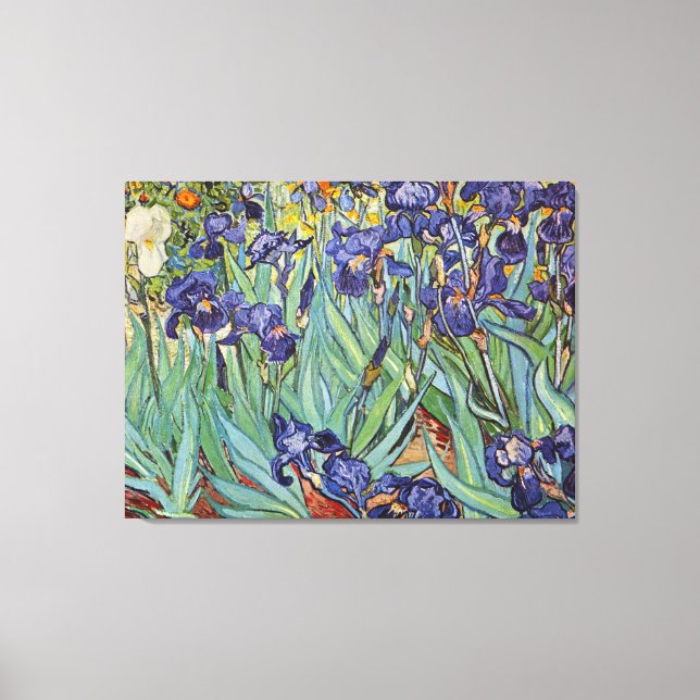 Van Gogh Irises Impressionist Painting Leinwanddruck (Vorderseite)