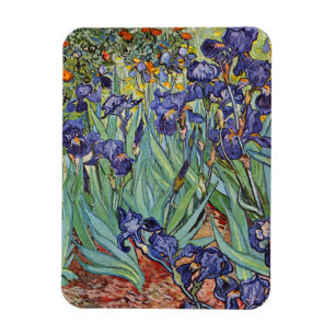 Van Gogh Irises Impressionist Painting Magnet