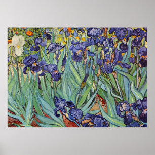 Van Gogh Irises Impressionist Painting Poster