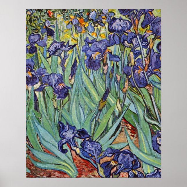 Van Gogh Irises Impressionist Painting Poster (Vorne)