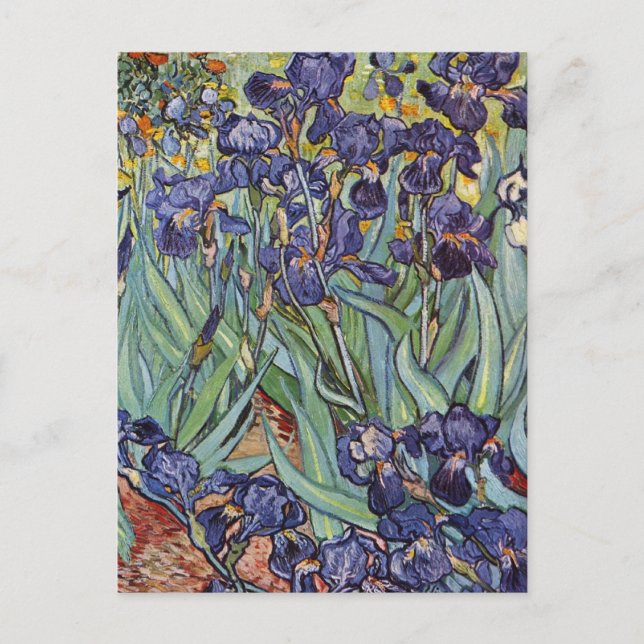 Van Gogh Irises Impressionist Painting Postkarte (Vorderseite)