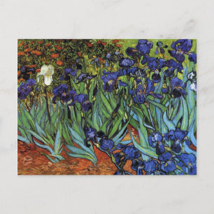 Van Gogh Irises Postcard Postkarte