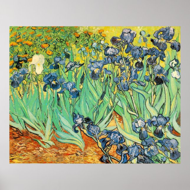 Van Gogh Irises Poster (Vorne)