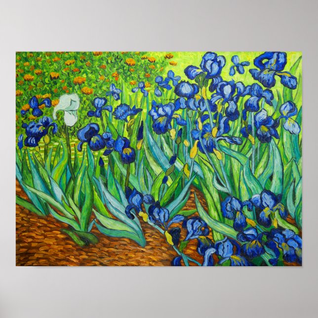 Van Gogh Irises Poster (Vorne)