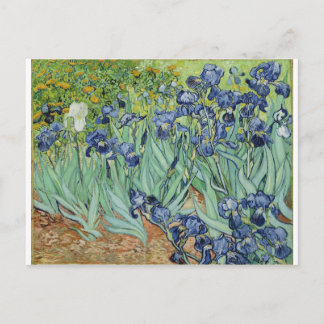 Van Gogh Irises Postkarte