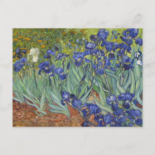 Van Gogh Irises Vintage Fine Art Floral Postkarte
