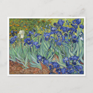 Van Gogh Irises Vintage Fine Art Floral Postkarte
