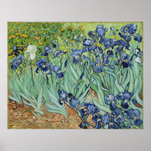Van Gogh Irises, Vintager Post-Impressionismus Art Poster