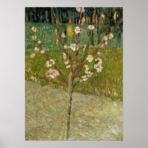 Van Gogh - Mandelbaum in Blüten Poster