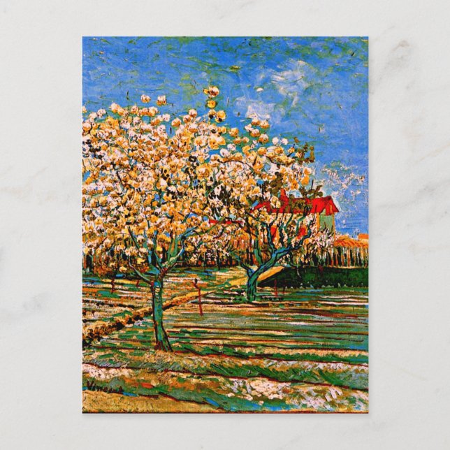 Van Gogh - Obstgarten in Blossom Postkarte (Vorderseite)