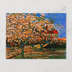 Van Gogh - Obstgarten in Blossom Postkarte
