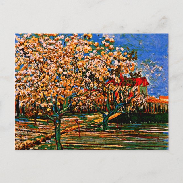 Van Gogh - Obstgarten in Blossom Postkarte (Vorderseite)