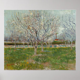 Van Gogh - Obstgarten in Blüten (Pflaumenbäume) Poster