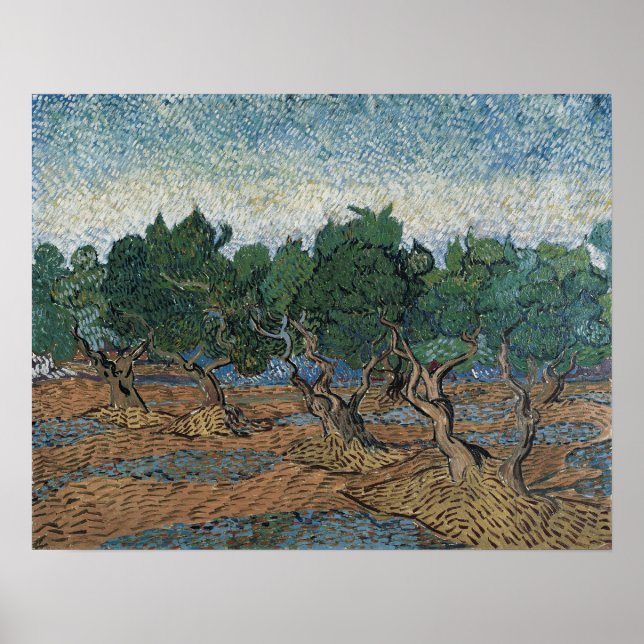 Van Gogh - Olive Grove Poster (Vorne)