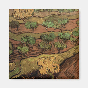 Van Gogh Olivenbäume gegen eine Steigung eines Hüg Magnet