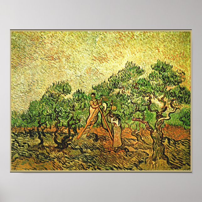 Van Gogh - Olivenbäume, Kunstmalerei, Poster (Vorne)
