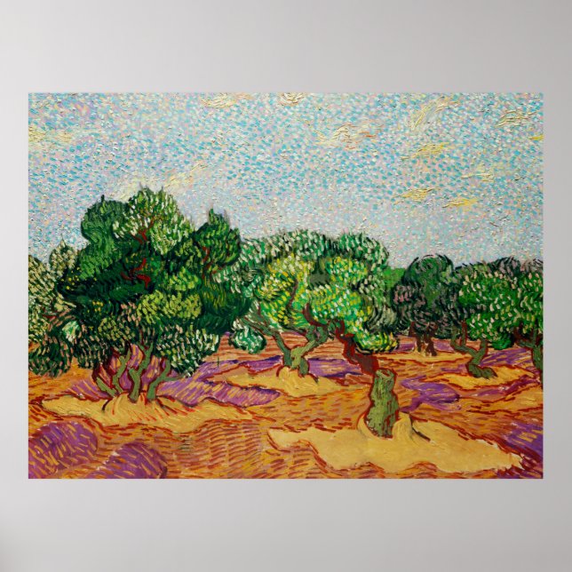 Van Gogh - Olivenbäume,  Poster (Vorne)