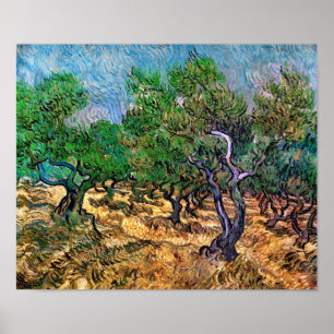 Van Gogh - Olivenhain Poster