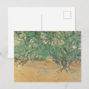 Van Gogh Olivenhain - Salbeigrüne Naturkunst Postkarte