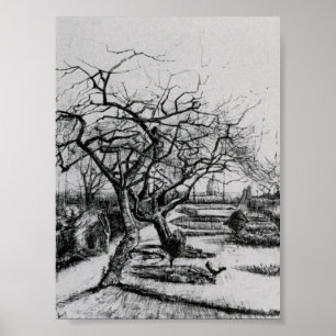 Van Gogh - Parsonage Garden Poster