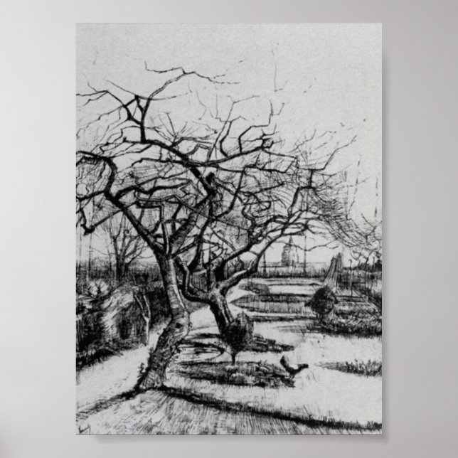 Van Gogh - Parsonage Garden Poster (Vorne)