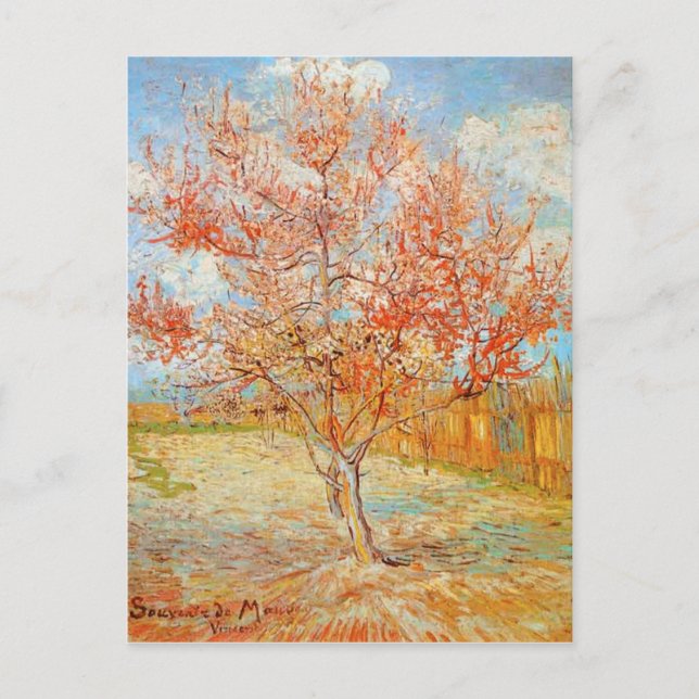 Van Gogh Pink Peach Tree in Blossom Postkarte (Vorderseite)