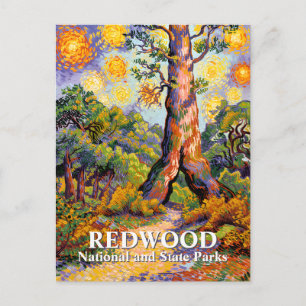 Van Gogh Redwood National Park Waldlandschaft Postkarte