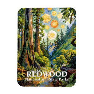 Van Gogh Redwood National Park Wanderweg Modern Magnet