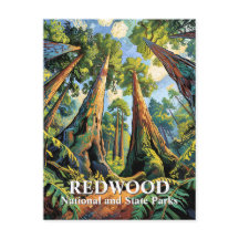 Van Gogh Redwoods Park California Poster Stil