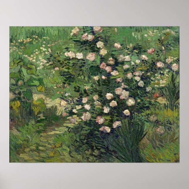 Van Gogh - Rose Poster (Vorne)